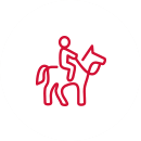 Balades à cheval